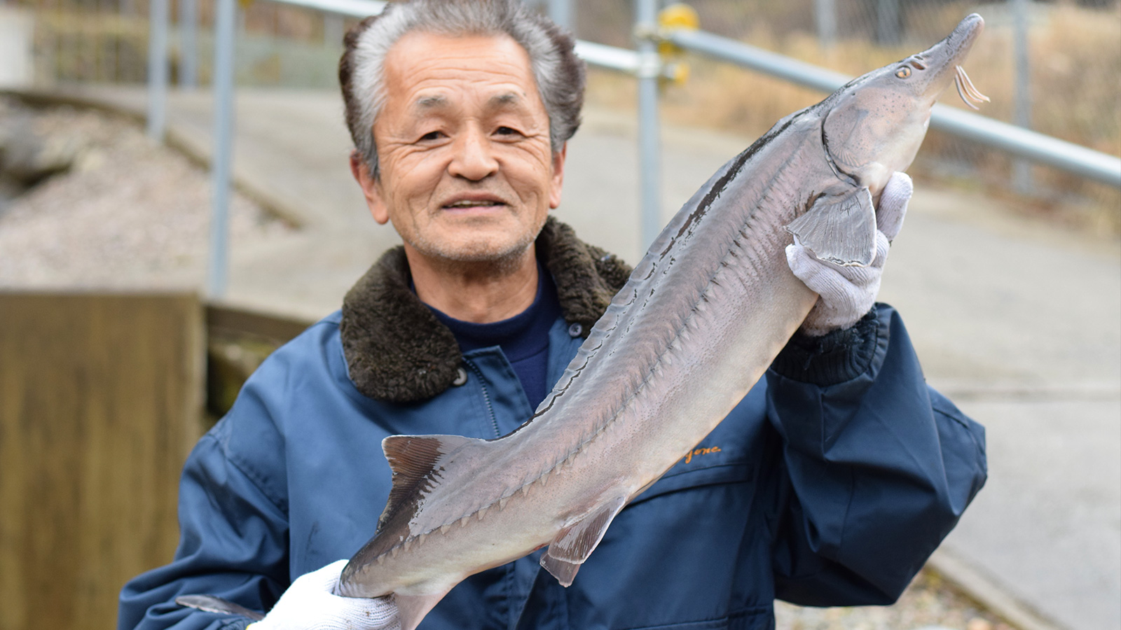 とよねチョウザメROYALFISH