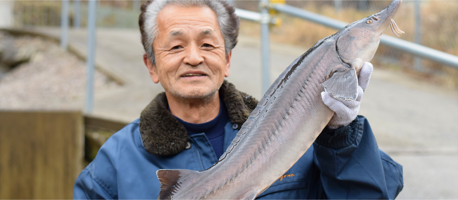 とよねチョウザメROYALFISH