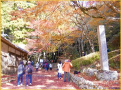 鳳来寺山（新城） 