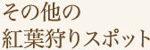 その他の紅葉狩りスポット