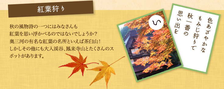 紅葉狩り 秋の風物詩の一つにはみなさんも紅葉を思い浮か別のではないでしょうか？奥三河の有名な紅葉の名所といえば茶臼山！しかしその他にも大入渓谷、鳳来寺山とたくさんのスポットがあります。