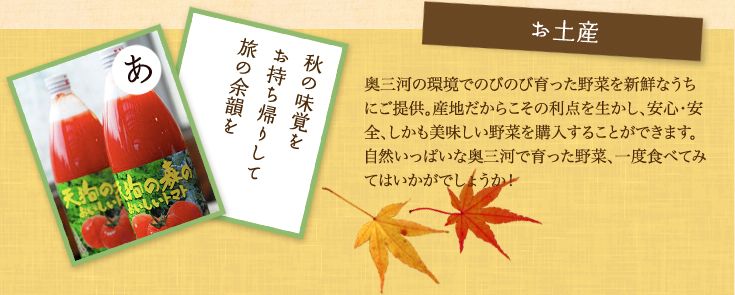 お土産 奥三河の環境でのびのび育った野菜を新鮮なうちにご提供。産地だからこその利点を生かし、安心・安全、しかも美味しい野菜を購入することができます。自然いっぱいな奥三河で育った野菜、一度食べてみてはいかがでしょうか！