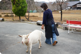 動物たちとのふれあい