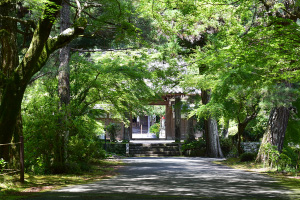 医王寺（武田勝頼公本陣跡）