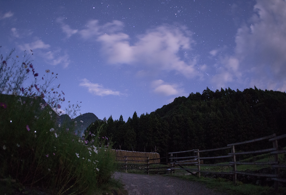 秋の夜に