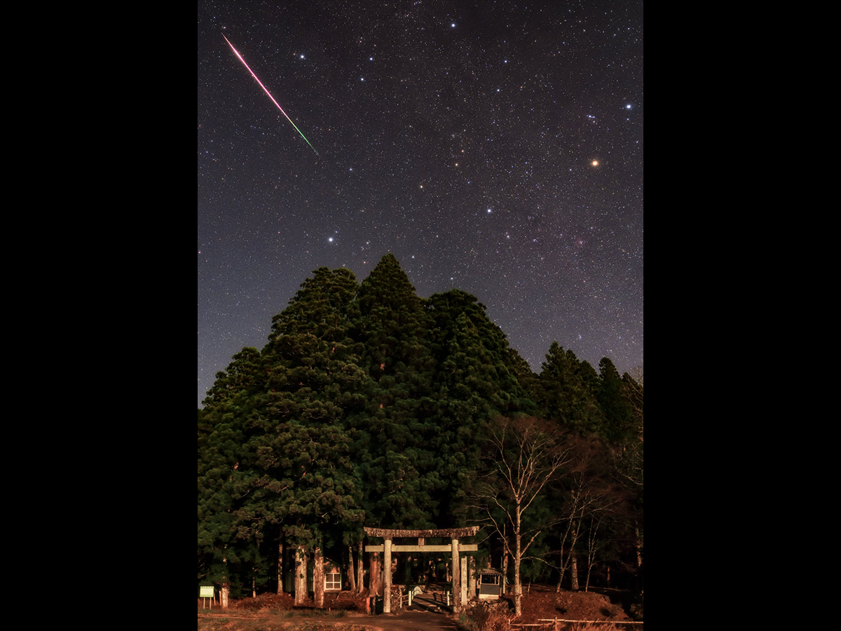 2025年ペルセウス座流星群の展望と夏休みの流星群